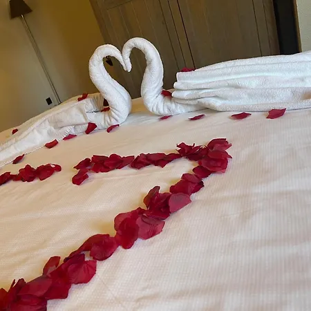 Lace Hotel 3*